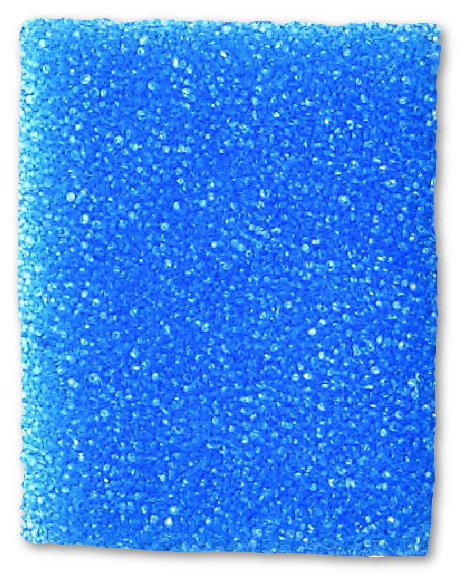 Biopsy Sponge For Securing Small Specimens During Processing, Packaging Type- Case
