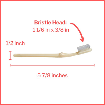 Toothbrush McKesson Ivory Adult Medium, Packaging Type- Box