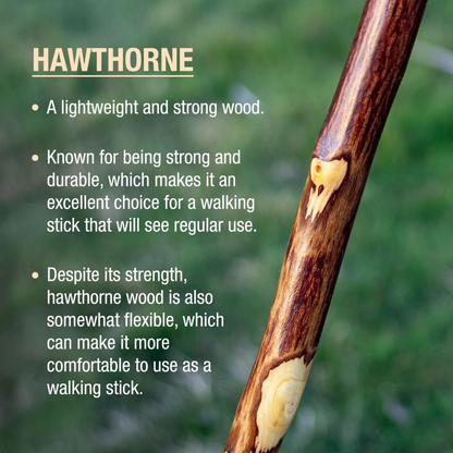 Walking Stick Brazos Free Form Wood 55 Inch Height Hawthorn