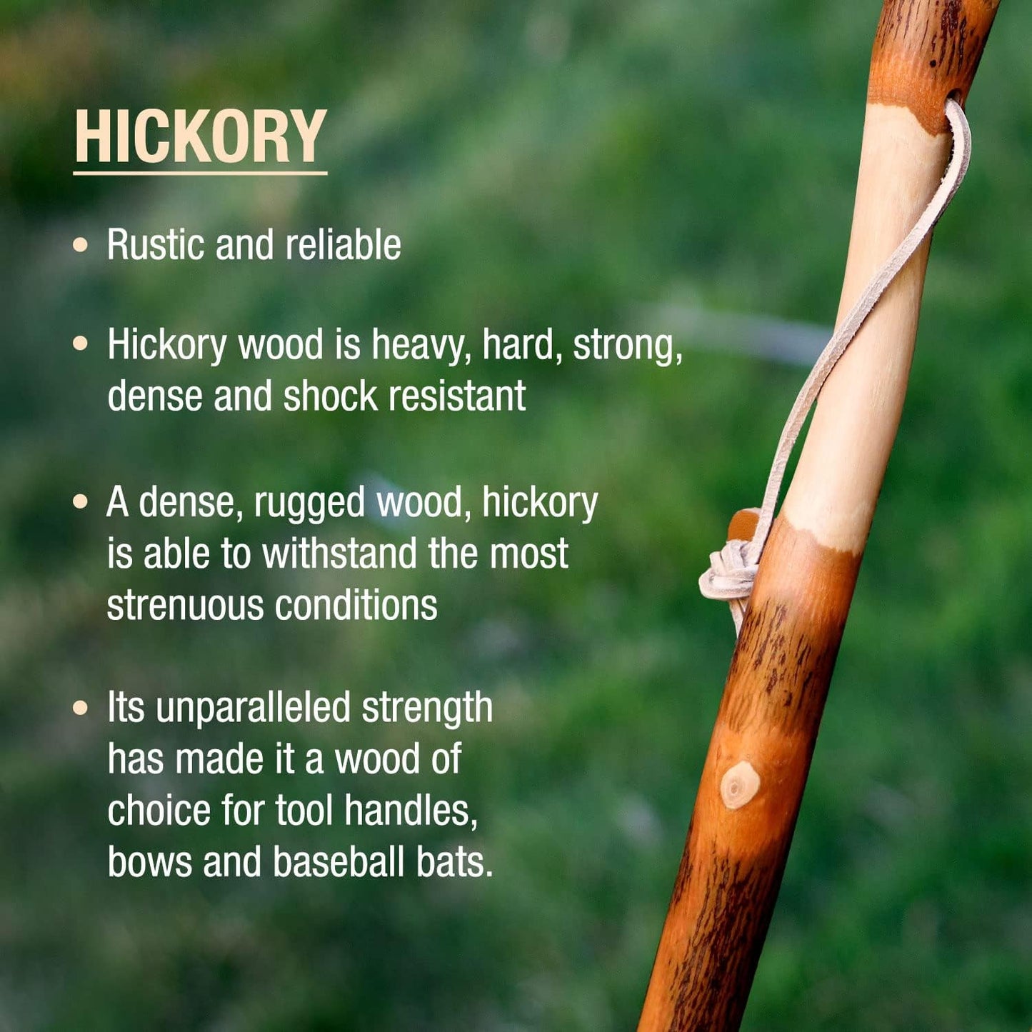 Walking Stick Brazos Twisted Wood 55 Inch Height Hickory