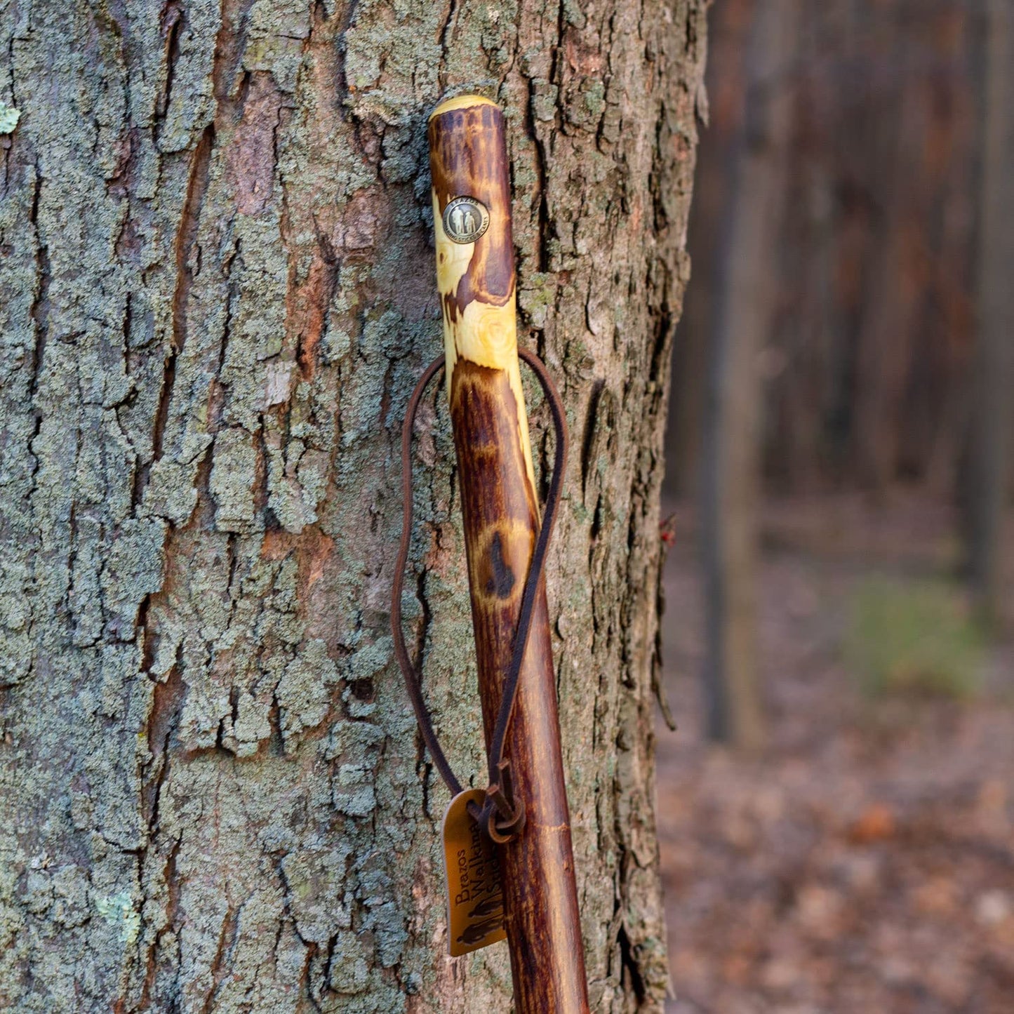 Walking Stick Brazos Free Form Wood 58 Inch Height Ironwood