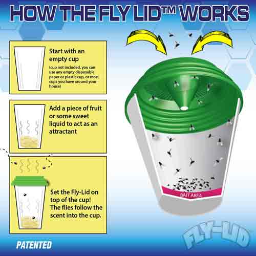 Fly Lid – 4 Pack - fly-lid-4-pack