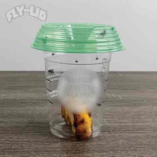 Fly Lid – 10 Pack - fly-lid-10-pack