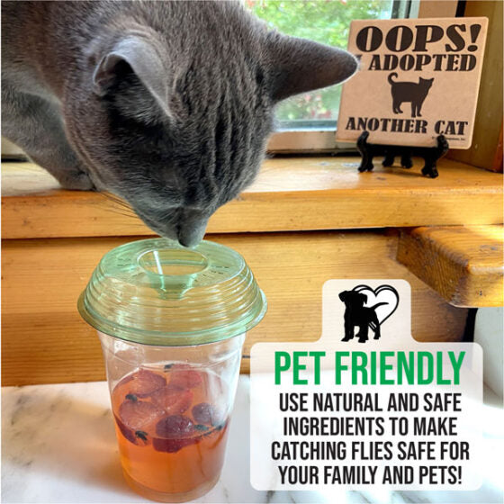 Fly Lid Combo- Indoor Outdoor Eco Friendly Fly Control Pack – Includes 12 Fly-Lids for Disposable Cups and (3) 5 Gallon Bucket Fly-Condo™ Lids. - fly-lid-combo-indoor-outdoor-eco-friendly-fly-control-pack-includes-12-fly-lids-for-disposable-cups-and-3-5-gallon-bucket-fly-condo™-lids