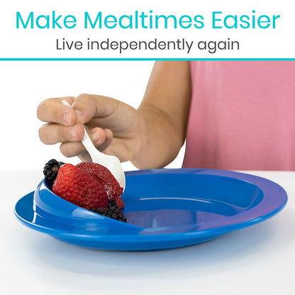Spill-Proof Scoop Plate (2 Pack) - scoop-plate