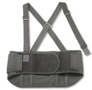 Occupational Back Support ProFlex 1600 Standard Large Hook and Loop Closure 34 to 38 Inch Waist Circumference 9 Inch Height Adult, Packaging Type- Each