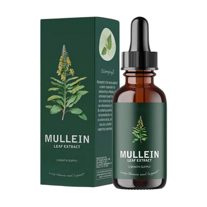 EverVita Mullein Leaf Capsules – Gluten-Free Herbal Lung Support Supplement