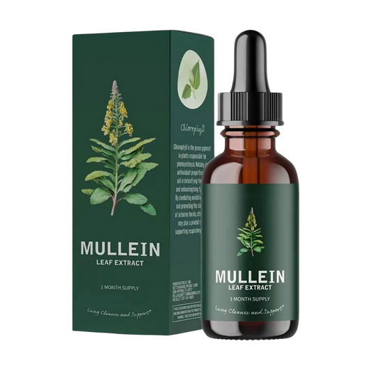 EverVita Mullein Leaf Capsules – Gluten-Free Herbal Lung Support Supplement