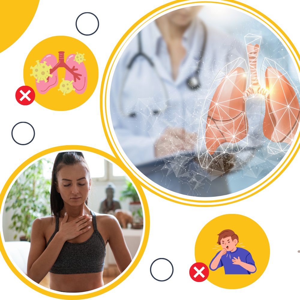 EverVita Mullein Leaf Capsules – Gluten-Free Herbal Lung Support Supplement