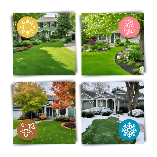 EverPatch™ Quick Fix Grass Seed Mat - Grow Lush Green Lawns Fast