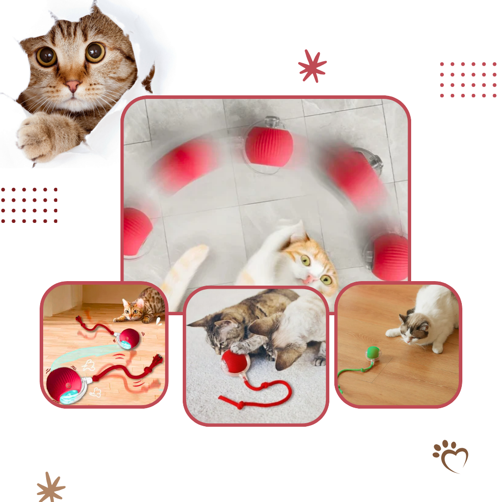 PawJoy Smart Cat Ball Toy – Interactive Motion-Activated Play for Indoor Cats