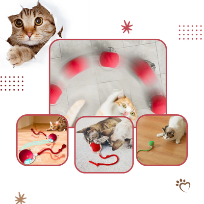 PawJoy Smart Cat Ball Toy – Interactive Motion-Activated Play for Indoor Cats