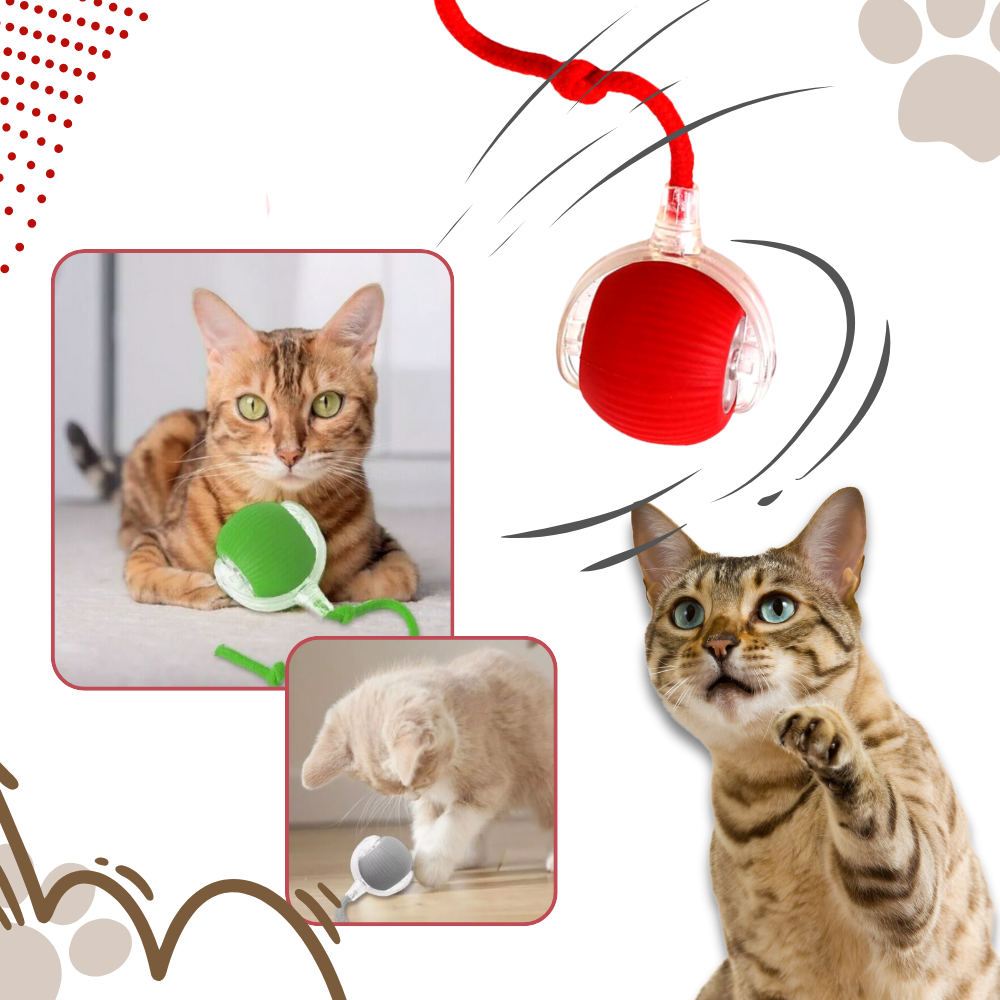 PawJoy Smart Cat Ball Toy – Interactive Motion-Activated Play for Indoor Cats