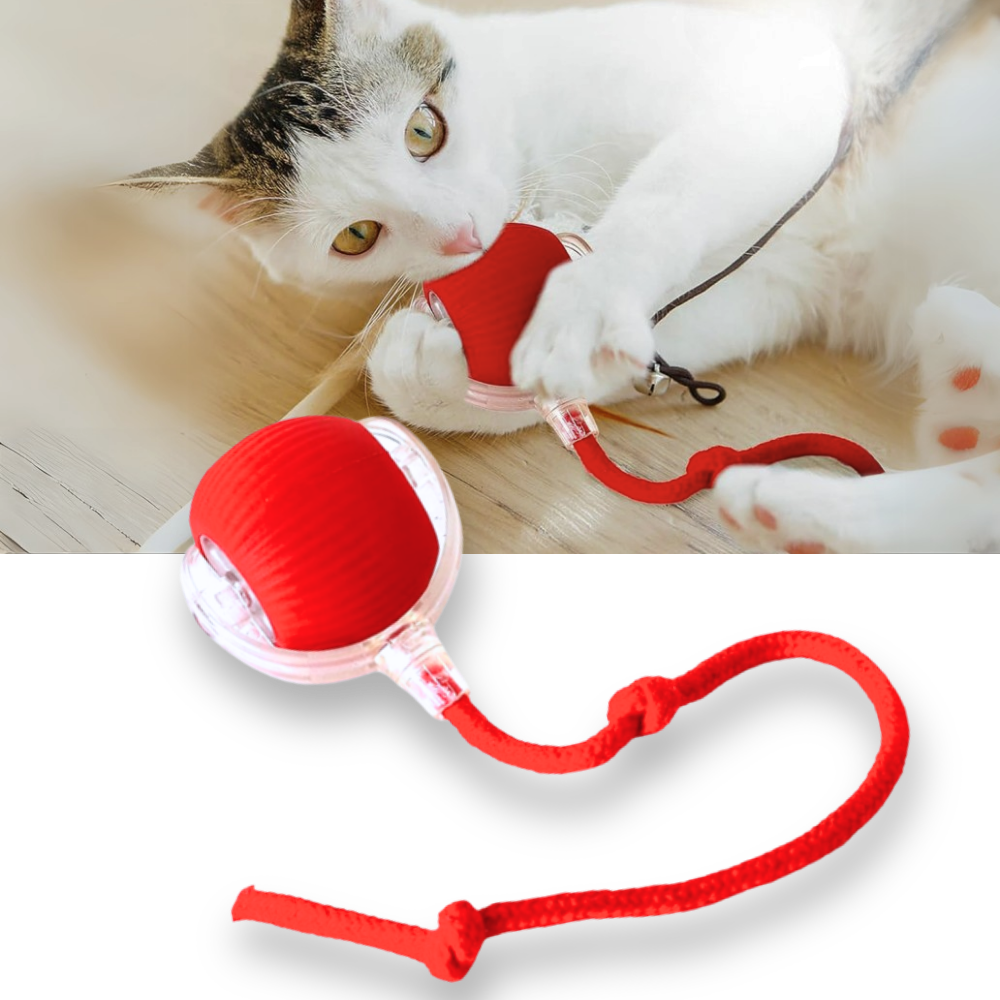 PawJoy Smart Cat Ball Toy – Interactive Motion-Activated Play for Indoor Cats
