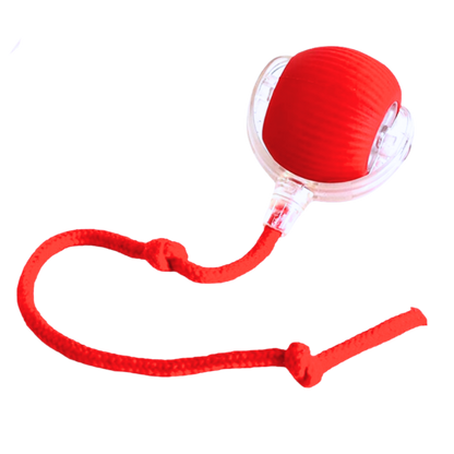 PawJoy Smart Cat Ball Toy – Interactive Motion-Activated Play for Indoor Cats